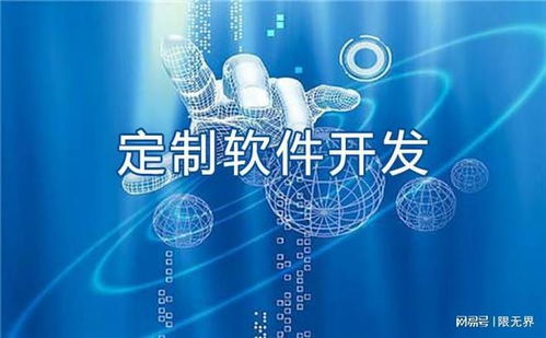 上海五家代表性軟件開發(fā)企業(yè)深度解析 技術實力與發(fā)展路徑